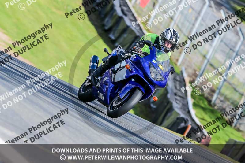 Oulton Park 20th March 2020;PJ Motorsport Photography 2020;anglesey;brands hatch;cadwell park;croft;donington park;enduro digital images;event digital images;eventdigitalimages;mallory;no limits;oulton park;peter wileman photography;racing digital images;silverstone;snetterton;trackday digital images;trackday photos;vmcc banbury run;welsh 2 day enduro